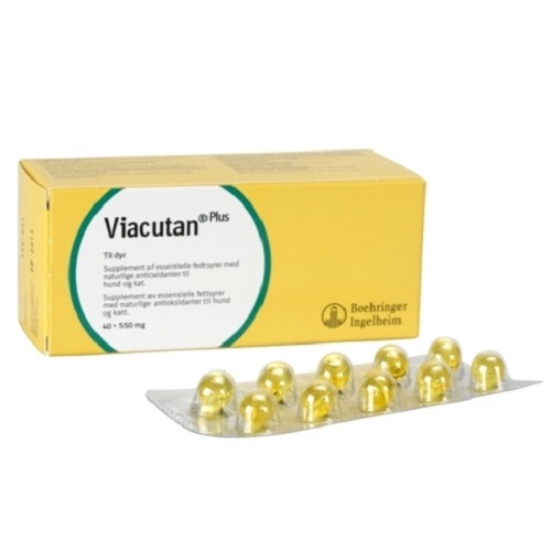 Viacutan Plus 550mg Συμπλήρωμα Διατροφής για το Δέρμα 40caps