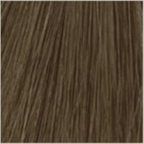Korres Argan Oil Advanced Colorant 6.1 Ξανθό Σκούρο Σαντρέ Korres Argan Oil Advanced Colorant 6.1 Ξανθό Σκούρο Σαντρέ