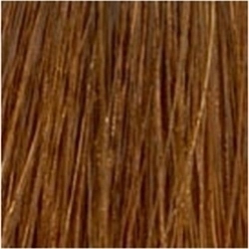 Korres Argan Oil Advanced Colorant 7.3 Ξανθό Χρυσό Μελί Korres Argan Oil Advanced Colorant 7.3 Ξανθό Χρυσό Μελί