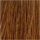 Korres Argan Oil Advanced Colorant 7.3 Ξανθό Χρυσό Μελί Korres Argan Oil Advanced Colorant 7.3 Ξανθό Χρυσό Μελί