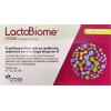 Cross Pharmaceuticals LactoBiome Συμπλήρωμα Προβιοτικών, Πρεβιοτικών & Βιταμινών Β 10x10ml