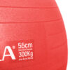 Amila Μπάλα Γυμναστικής Gymball 55Cm Κόκκινη Bulk – 48440
