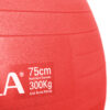 Amila Μπάλα Γυμναστικής Gymball 75Cm Κόκκινη Bulk – 48443