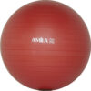 Amila Μπάλα Γυμναστικής Gymball 75Cm Κόκκινη Bulk – 48443