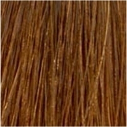 Korres Argan Oil Advanced Colorant 7.3 Ξανθό Χρυσό Μελί