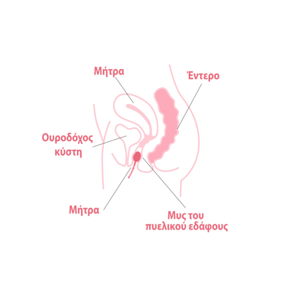Enna Pelvic Ball Σφαίρα Εξάσκησης Πυέλου 1τμχ